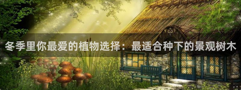 新宝Gg测速地址:冬季里你最爱的植物选择:最适合种下的景观树木