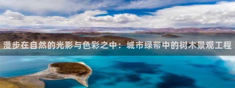 创造奇迹新宝gg:漫步在自然的光影与色彩之中:城市绿带中的树木景观工程