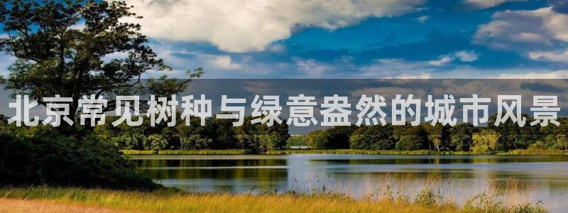 分分新宝gg:北京常见树种与绿意盎然的城市风景