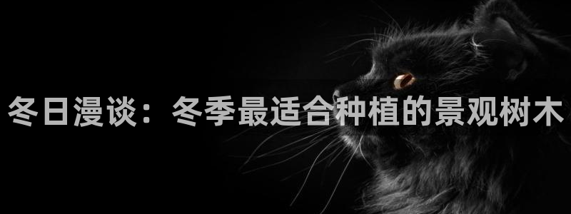 新宝gg运营88383:冬日漫谈:冬季最适合种植的景观树木